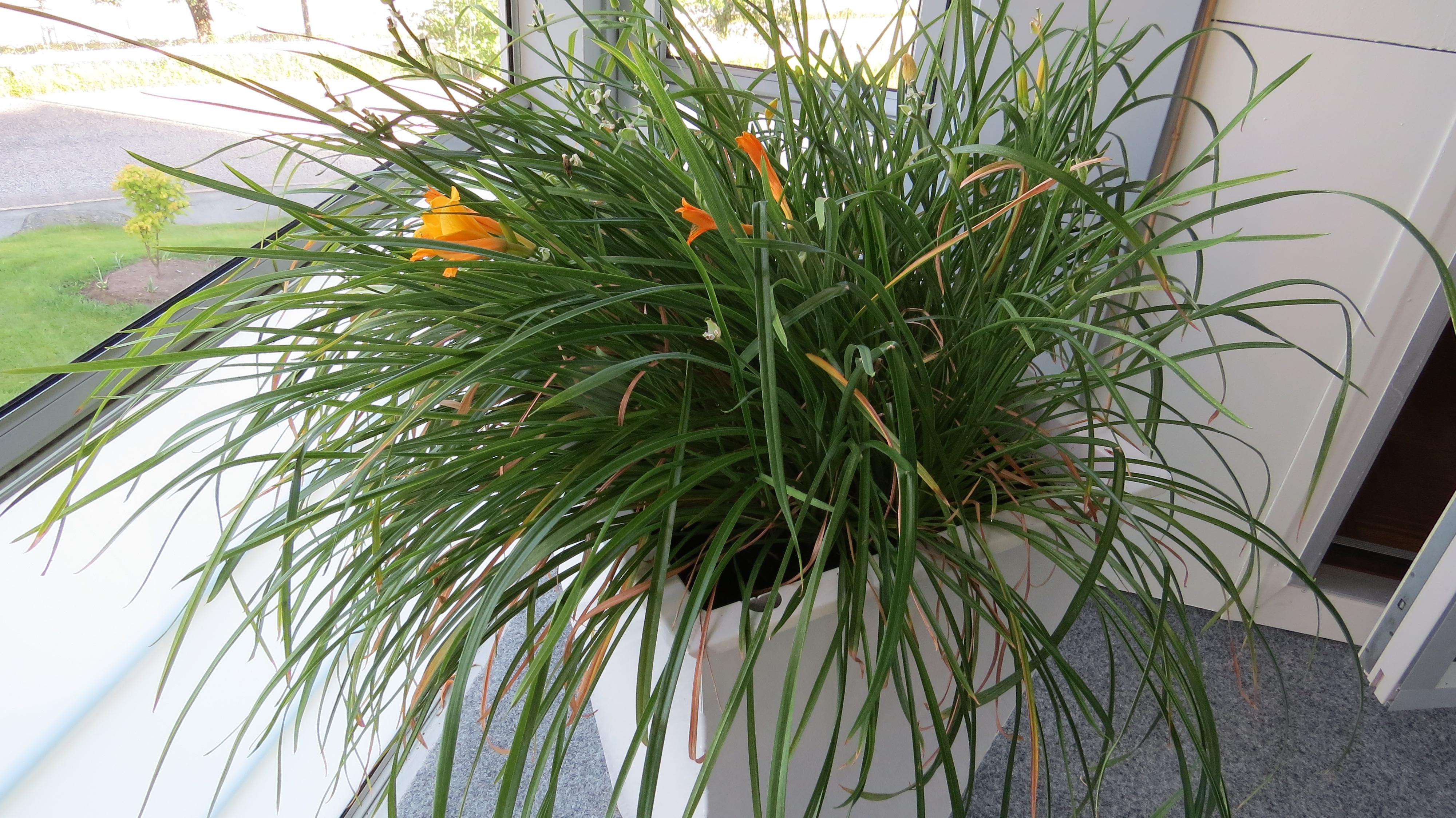 SX50_1218