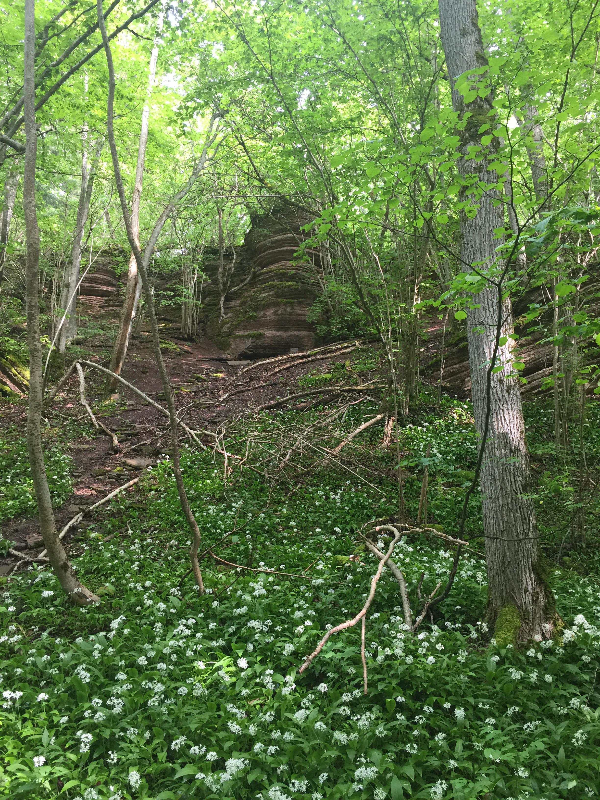 ip6p_1125