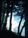 [Sassnitz: Naturreservatet]